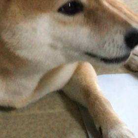 初氷の画像