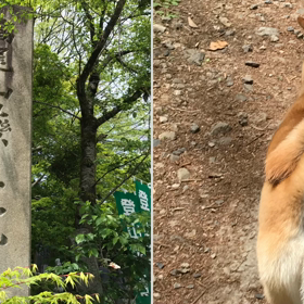 ゴールデンウィークの画像