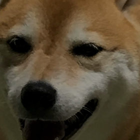 少し前の…の画像
