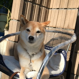 昨日のことの画像