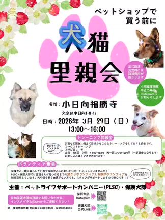 本日（日）福勝寺の記事動画