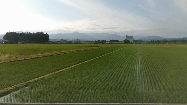 国内最速を体感してきましたの記事動画