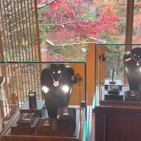 アリカコレクション2025 創業50周年記念展の画像