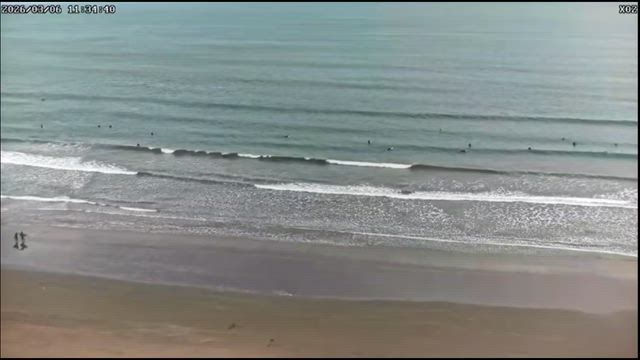 まつり宮崎　海はおいしいコンディションの記事動画