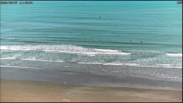 ちょっとおいしいコンディションの青島付近の記事動画