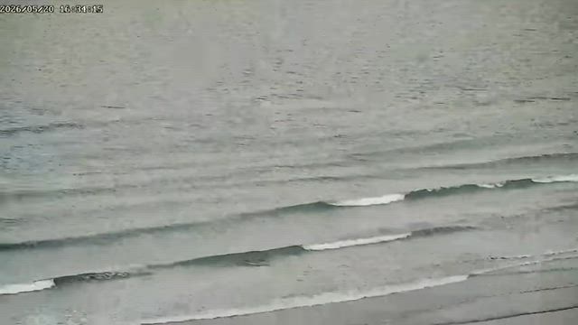 FireWireは高級家具のようだの記事動画
