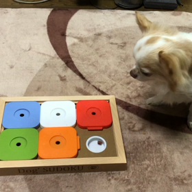 ペット教育玩具　Dog’ SUDOKU　スライドパズルの画像