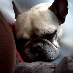 おはよー☀️‼️の画像