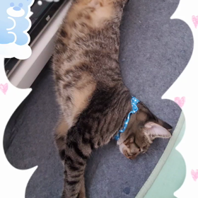cuteの画像