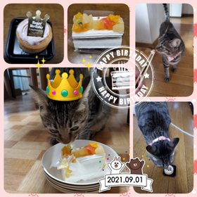 happyの画像