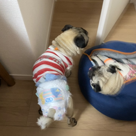 最近の様子の画像