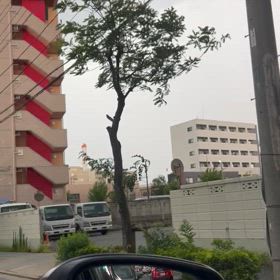 やばい！の画像