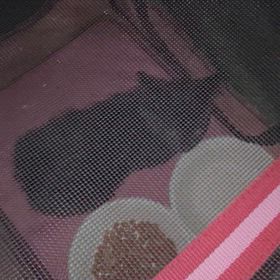 捜索隊！の画像