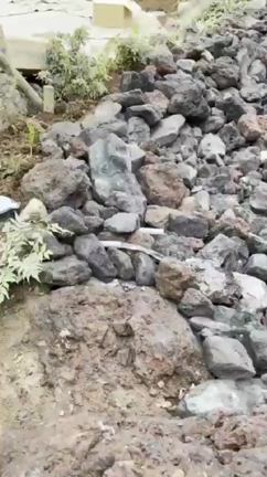 あんじゅの森⑲の記事動画