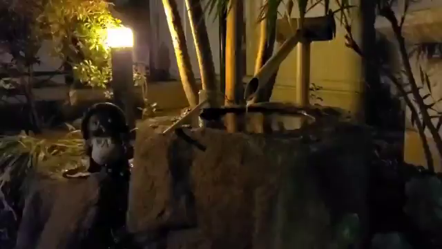 今年もお世話になりました。の記事動画