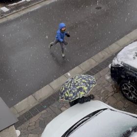 また雪の画像