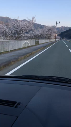 3/27左RAO術後25日目 別れと出会いの記事動画