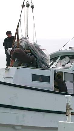 入りましたぁ〜〜〜の記事動画