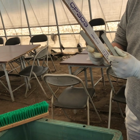 ネギの苗づくり① 2018/03/24の画像