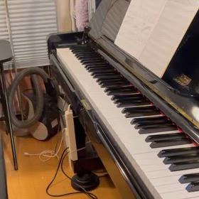 5/24金曜日はソロピアノの画像