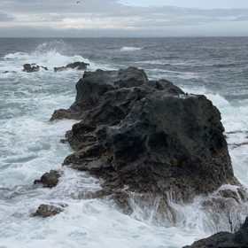荒れ気味の城ヶ島の画像