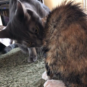 ある日のこと......の画像