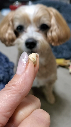 節分✨の記事動画