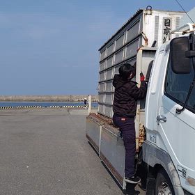 ２４（火曜日）濃尾連盟村上市岩船港レジヨナルの画像