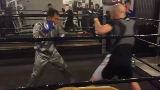 ピグミー選手ミット打ち動画の記事動画