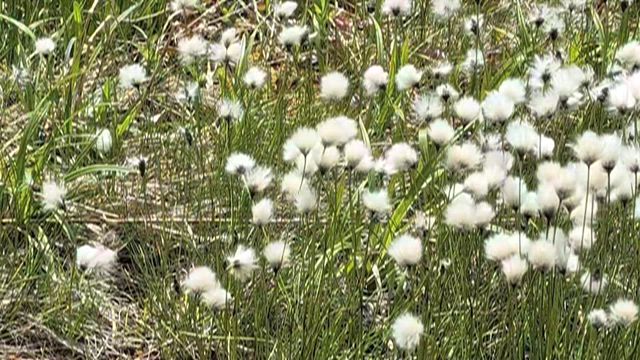 週末はハイキング♪の記事動画