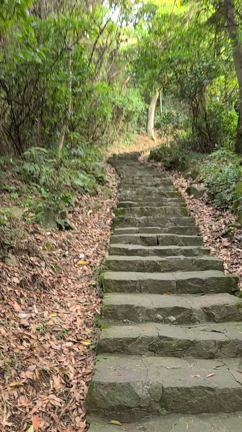 自然がいっぱい！台湾人は山歩き好き？！の記事動画