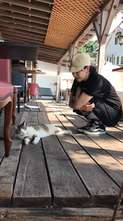 お気入りなとこの記事動画