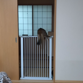乗り越えるの画像