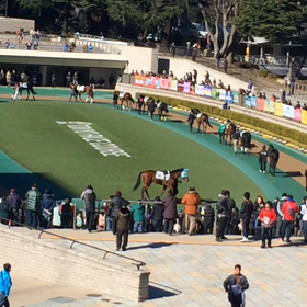 livedoor blogを更新しました！の画像
