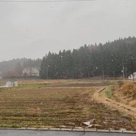 雪降って来ましたの画像