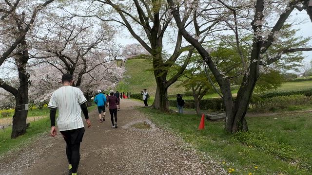 行田市鉄剣マラソン走って?きました♪の記事動画