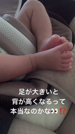 足が大きくて強い...の記事動画
