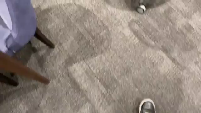 バタバタしてからの投稿。の記事動画