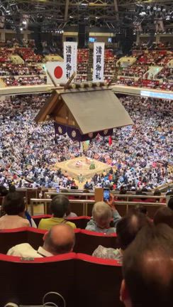 スカイツリーからの大相撲の記事動画