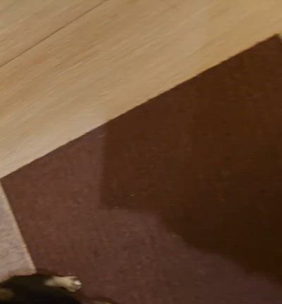 まだまだ赤ちゃんだった頃の記事動画