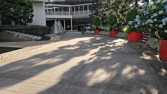佐藤くんとプッチくんの記事動画