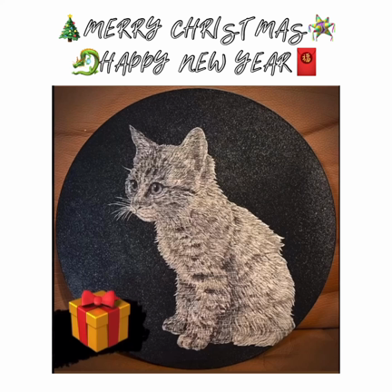 12/28 今週の猫 Cat of the Weekの記事動画