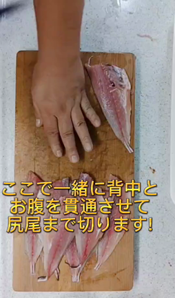 南房夜磯で夜な夜なフカセアジの記事動画
