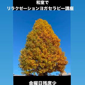 2025/11/29の画像