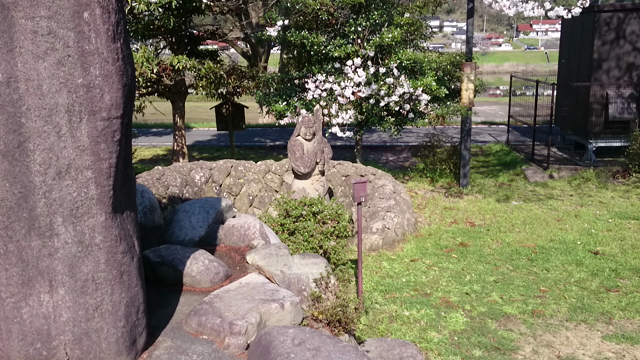 きすきの桜 開花状況 2019⑨の記事動画