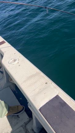 10月30日の記事動画