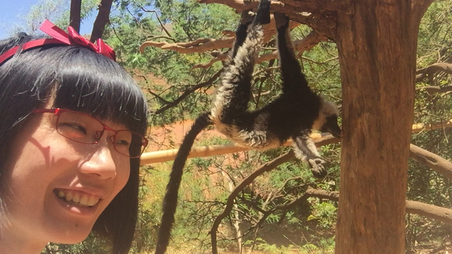 野生のサルに遭遇！衝撃写真！の記事動画