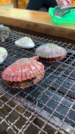 浜焼きとスーパーカーで綴る南国土佐の小旅行’24・・・夏の記事動画