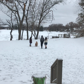 ミシガンな Snow Day とミシガンな犬の画像