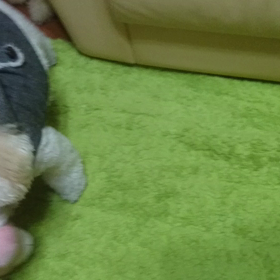 お気に入り(´∩ω∩`)♡の画像